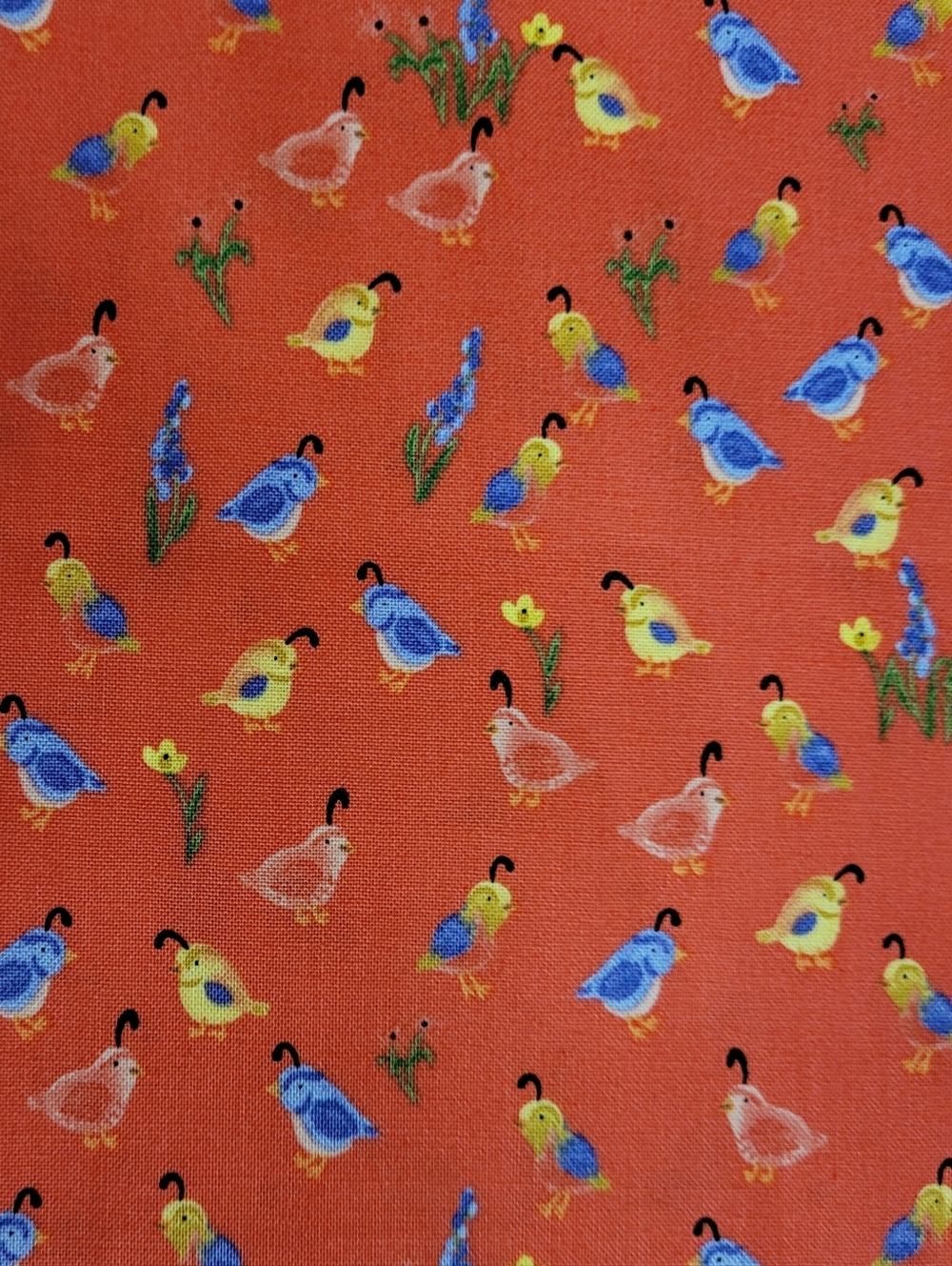 Riley Blake Designs Beautiful Day Bird Print Fabric Coral Background (0801)
